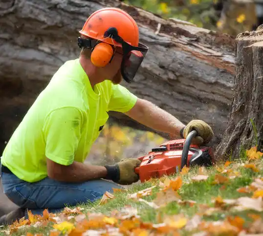 tree services Kraemer